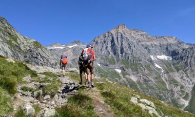 Montagna d'estate, scatta l'allerta sicurezza: "Pi&ugrave; turisti e meteo imprevedibile, serve responsabilit&agrave;"