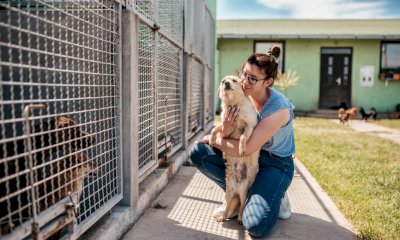 L&rsquo;11 luglio torna la raccolta alimentare di Nova Coop a sostegno dei rifugi per cani e gatti