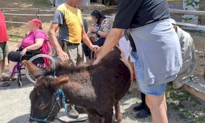 Natura, sorrisi e pet therapy: la giornata speciale degli ospiti del centro diurno "Nucci Banfi"