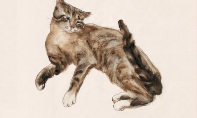 &ldquo;Lou chat pitur&agrave; e parl&agrave;&rdquo;: il gatto protagonista della mostra personale di Lucia Norbiato a Dronero