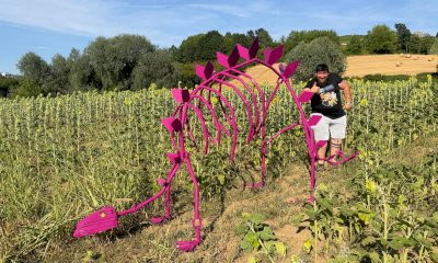 Girasoli&hellip; preistorici: a Farigliano &egrave; arrivato un dinosauro fucsia