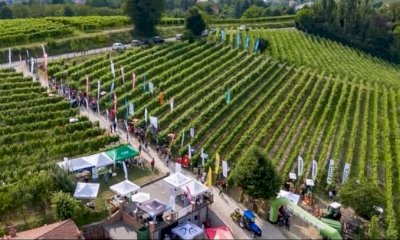 GreenFarmCert, una nuova certificazione per la gestione ottimale dei rifiuti agricoli