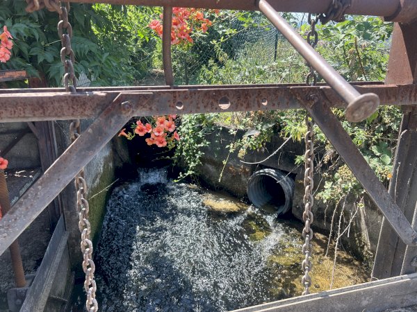 La poca acqua disponibile per l'irrigazione