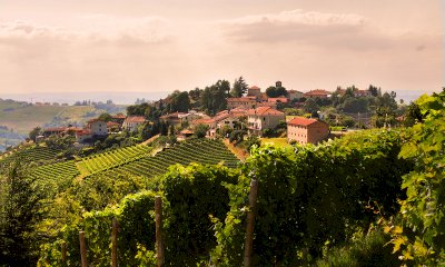 Neviglie, torna GoodWine &ndash; Convivio Enogastronomico e Culturale
