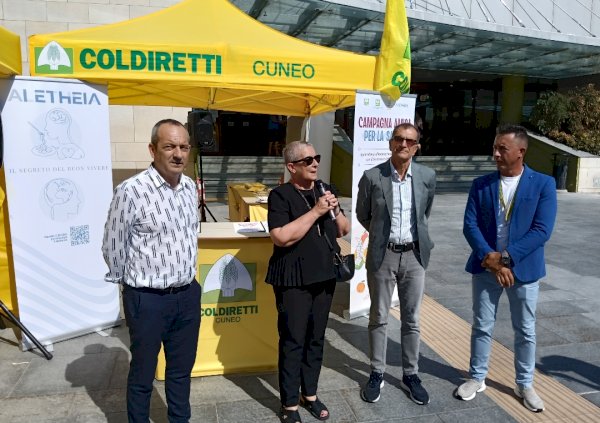 L'intervento della sindaca Manassero