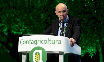 Relazione Ires Piemonte, Confagricoltura: "Servono risposte su costi e redditivit&agrave;"