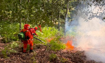 Emergenza incendi in Piemonte: la colonna mobile AIB schiera quasi mille volontari in dieci giorni
