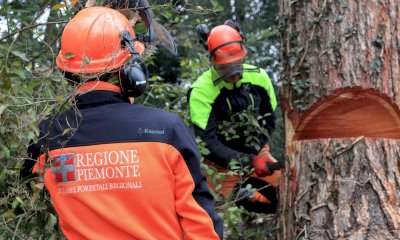 Caprauna: squadre forestali intervengono lungo strade e sentieri