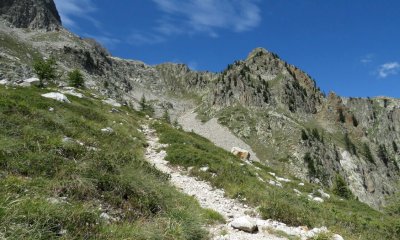 Stop momentaneo per il percorso Canavere-Pian delle Gorre