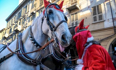 Cuneo, la carrozza di Natale continua far discutere. Gli animalisti: &ldquo;Delusi dalla risposta di Confcommercio&rdquo;