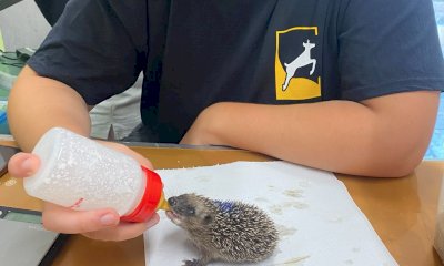 Mondovì rinnova la convenzione con il Centro Recupero Animali Selvatici di Bernezzo