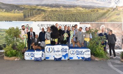 Bra, il Gruppo Cinofilo delle Langhe e dei Roeri organizza l'esposizione cinofila in piazza Giolitti