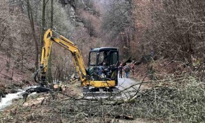 La Regione approva il Piano triennale dei lavori forestali