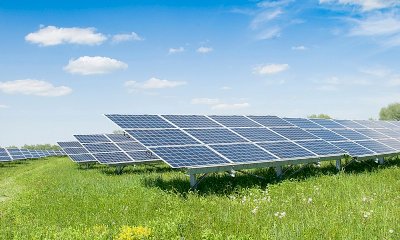 Fotovoltaico a terra, la Corte Costituzionale conferma il divieto nelle aree agricole