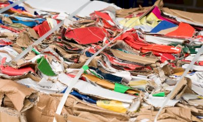 Nel 2025 in provincia di Cuneo si sono raccolte oltre 49mila tonnellate di carta e cartone
