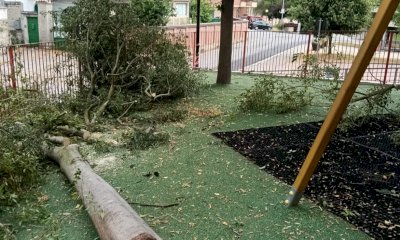 Farigliano punta sulla sicurezza al parco giochi: monitoraggio specialistico sulle alberature