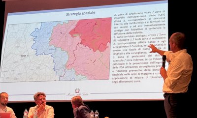 Aggiornate le zone di restrizione per la peste suina africana nel Cuneese