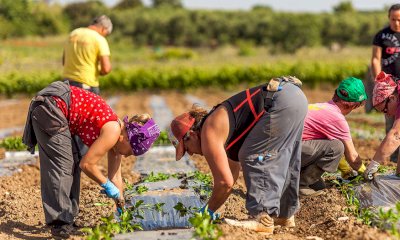 Sfruttamento lavorativo in agricoltura: un momento di confronto a Cuneo