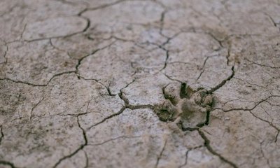 Rischio siccit&agrave;, Azione: &ldquo;Servono progetti per invasi e infrastrutture, azioni concrete"