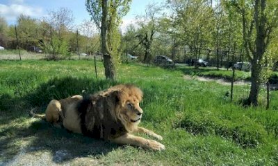 Il pomeriggio al Parco Safari delle Langhe vale doppio: al via la promozione estiva con vantaggi esclusivi