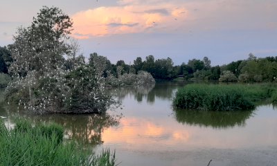 In bici, a piedi, al tramonto o di notte: il Parco Fluviale da vivere anche in agosto