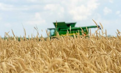 Ad Alba un convegno nazionale sulla sicurezza nel lavoro agricolo