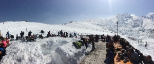 A Bagnolo Piemonte '4 zampe sulla neve'