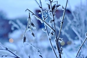 Stanotte registrati -25° C al Colle dell'Agnello