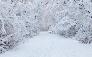 Da domani sera ritornerà la neve sulla Granda