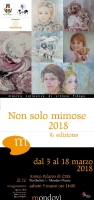 A Mondovì arriva la nona edizione della mostra 'Non solo Mimose...'