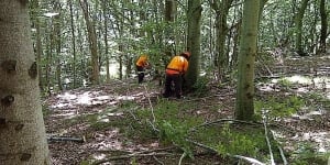 Dopo sette anni la Regione torna ad assumere operai forestali