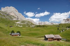 Tavolo alpeggi: Coldiretti insoddisfatta