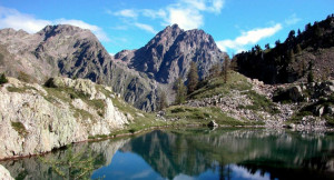 Le Aree Protette delle Alpi Marittime alla fiera di Primavera di Mondovì