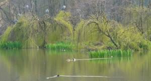 Riaperta la foresteria dell'oasi di Crava Morozzo