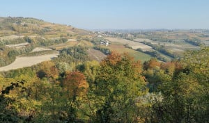 A Cherasco una degustazione con i vignaioli dei Barolo del Versante Occidentale