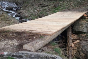 I Forestali della Regione al lavoro a Stroppo