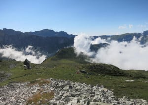 Le Aree protette Alpi Marittime ricordano Clarence Bicknell