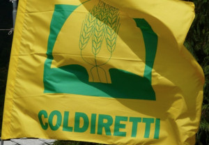 Coldiretti Cuneo: i mercati di 'Campagna Amica' non vanno in vacanza