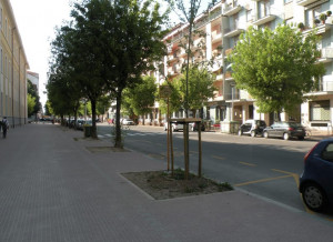 Cuneo: disagi temporanei per la realizzazione della pista ciclabile in Corso Brunet