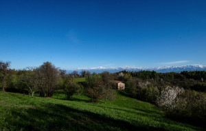 Le associazioni fondiarie: se ne parla in municipio a Busca