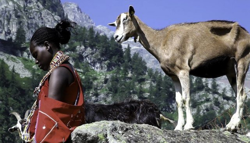 'Una montagna di film' ad Aisone con 'Il Murràn - Maasai in the Alps'
