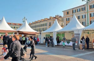 Anche Confagricoltura alla Fiera del Marrone di Cuneo con aziende ed eventi