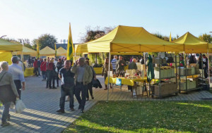 Alla Fiera del Tartufo di Alba le prelibatezze di 'Campagna Amica'