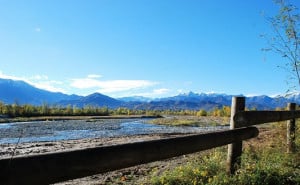 A Cuneo un 'Autunno al Parco' tra scienza, natura e appuntamenti per ogni età