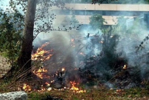 'Non è la bruciatura degli scarti vegetali a causare inquinamento dell'aria'