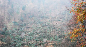 In valle Pesio centinaia di alberi abbattuti dal maltempo