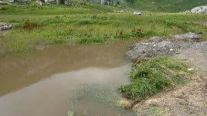 Nuovi specchi d’acqua alle Selle di Carnino, in alta valle Tanaro