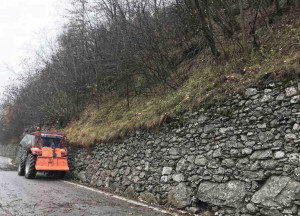 I Forestali della Regione al lavoro a Casteldelfino