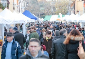 In 20mila a Villanova Mondovì per ‘BEE - formaggi di montagna’