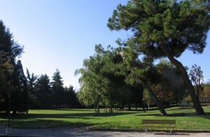 Un albero per commemorare i migranti che hanno perso la vita in mare